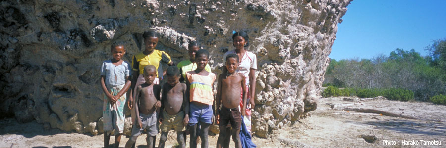 マダガスカル島妊婦のバオバブ・ツィタカクイケ