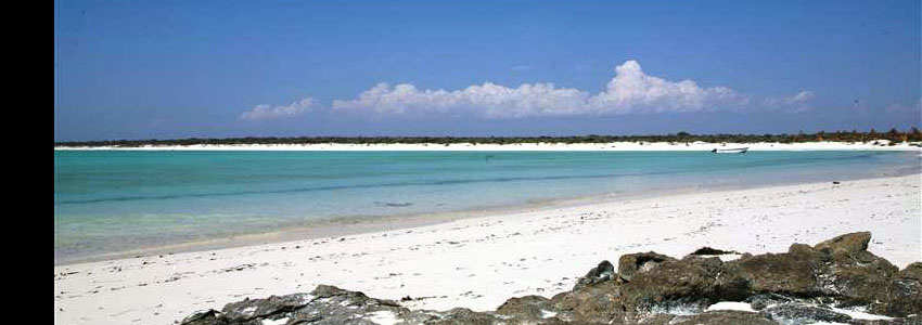 マダガスカル島サラリーの白砂ビーチ