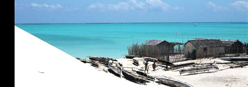 マダガスカル島サラリー