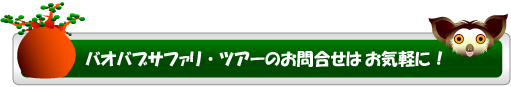 バオバブ