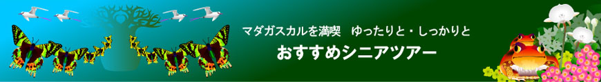 マダガスカル・シニア旅行