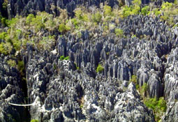 ツィンギー・ベマラハ厳正自然保護区