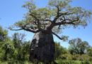 西山岳志さんのマダガスカル島1人旅その2: