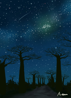 Baobab Star Dream イラスト