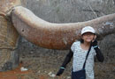 子どもと一緒のマダガスカル旅行記