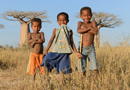 動物写真家・山本つねお：バオバブと子供 / Madagascar