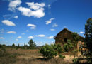 山崎さんのハネムーンその1：アンタナナリボからペリネへ行く田舎町の風景
