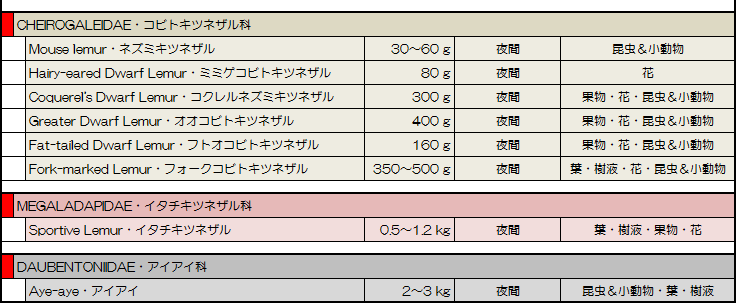 キツネザル・リスト下