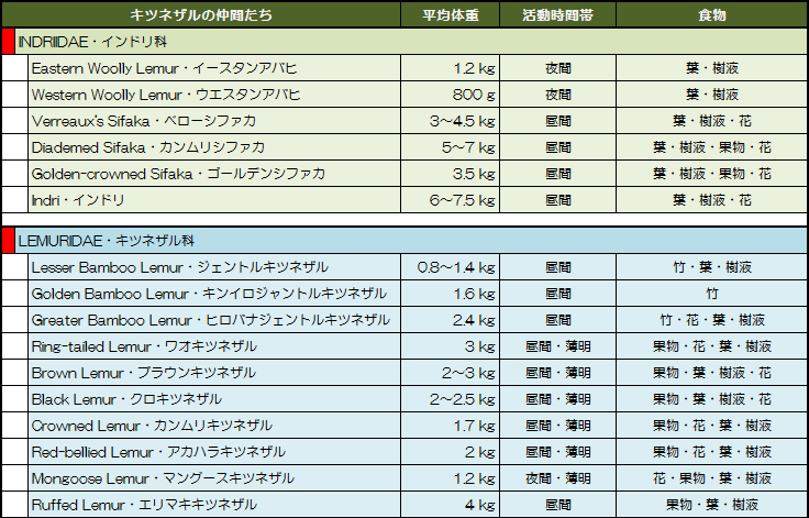 キツネザル・リスト下