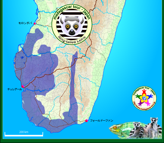 マダガスカル・ワオキツネザル地図上