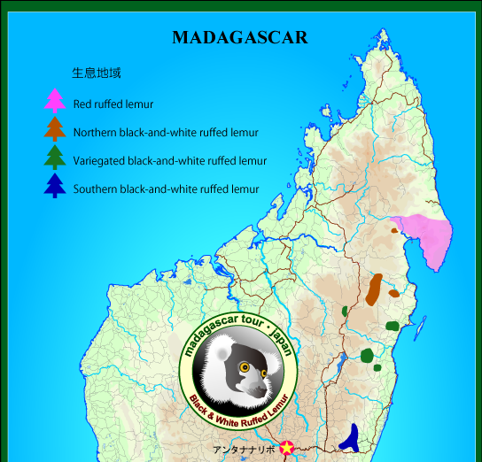 エリマキキツネザルの生息地域地図上