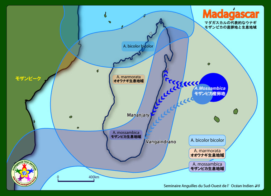 地図シラスウナギ