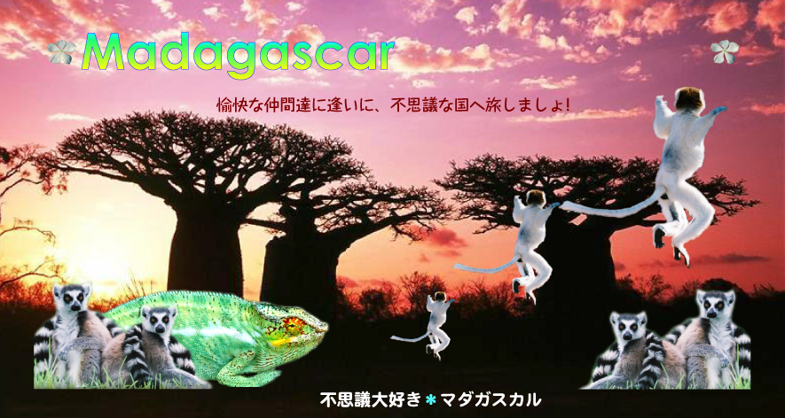 マダガスカルイメージ